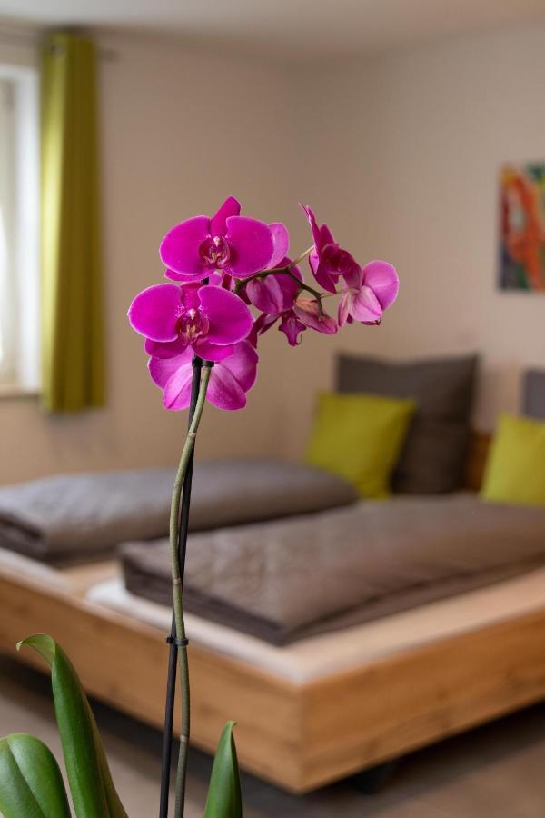Apartment Alte Raiffeisenkasse רוטנבורג אוב דר טאובר מראה חיצוני תמונה